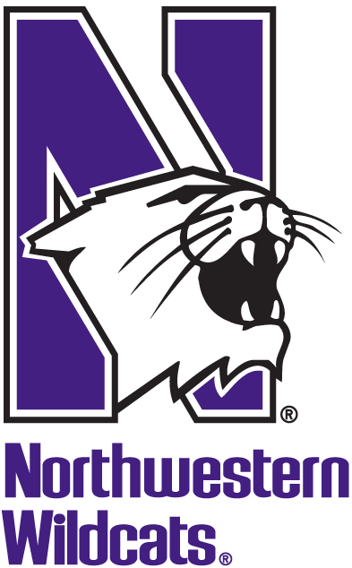 Northwestern Wildcats 1981-Pres Alternate Logo v2 iron on transfers for T-shirts
